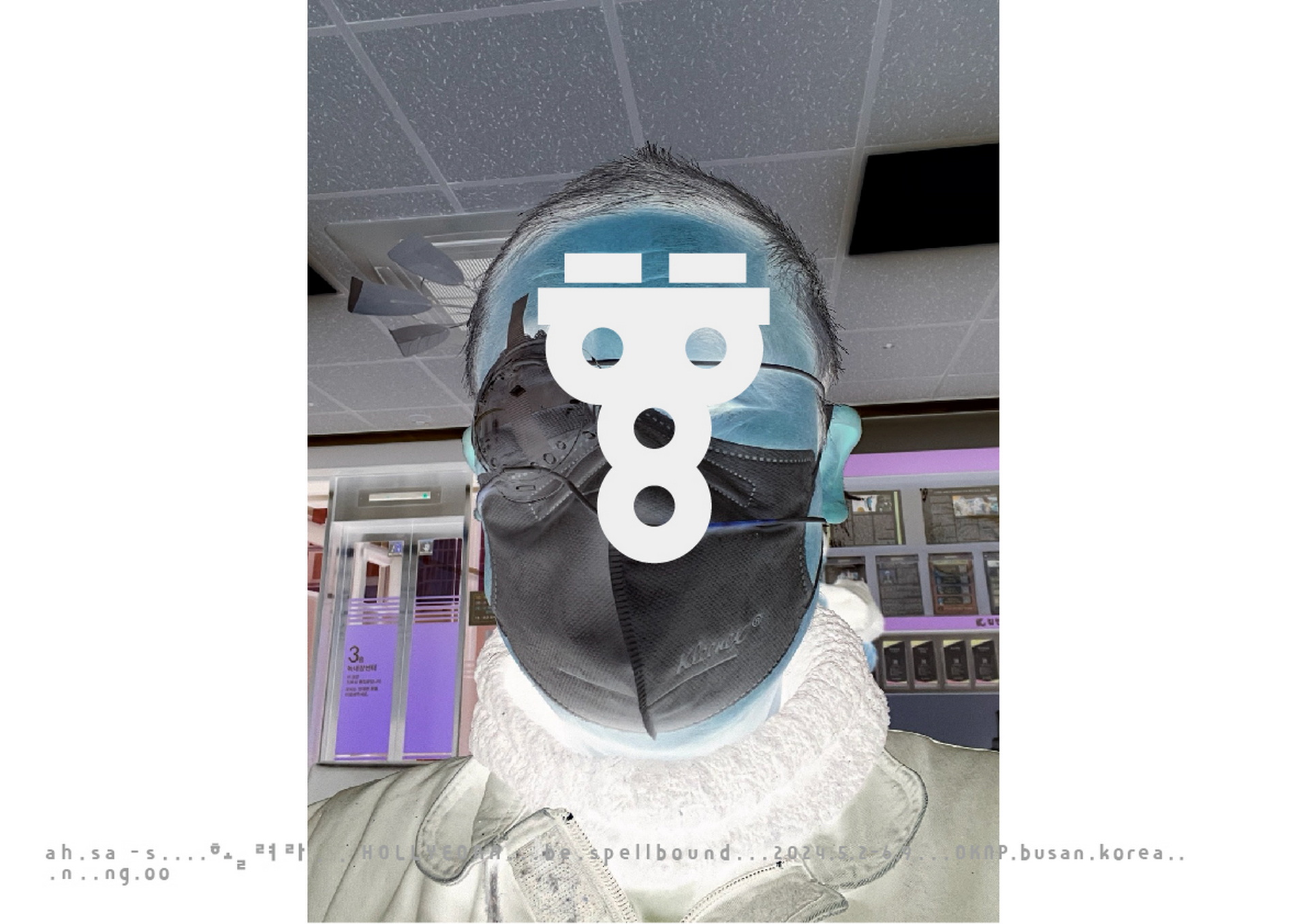 ssahn_hooh_441041758_10160315829414422_2095938460609871242_n.jpg