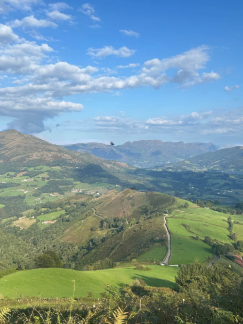 pyrenees_by_young_koh.png