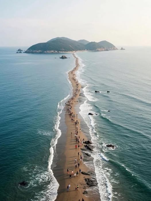 via_Korean_Tourism_536270365_1174566084695818_1526547720520645709_n.jpg