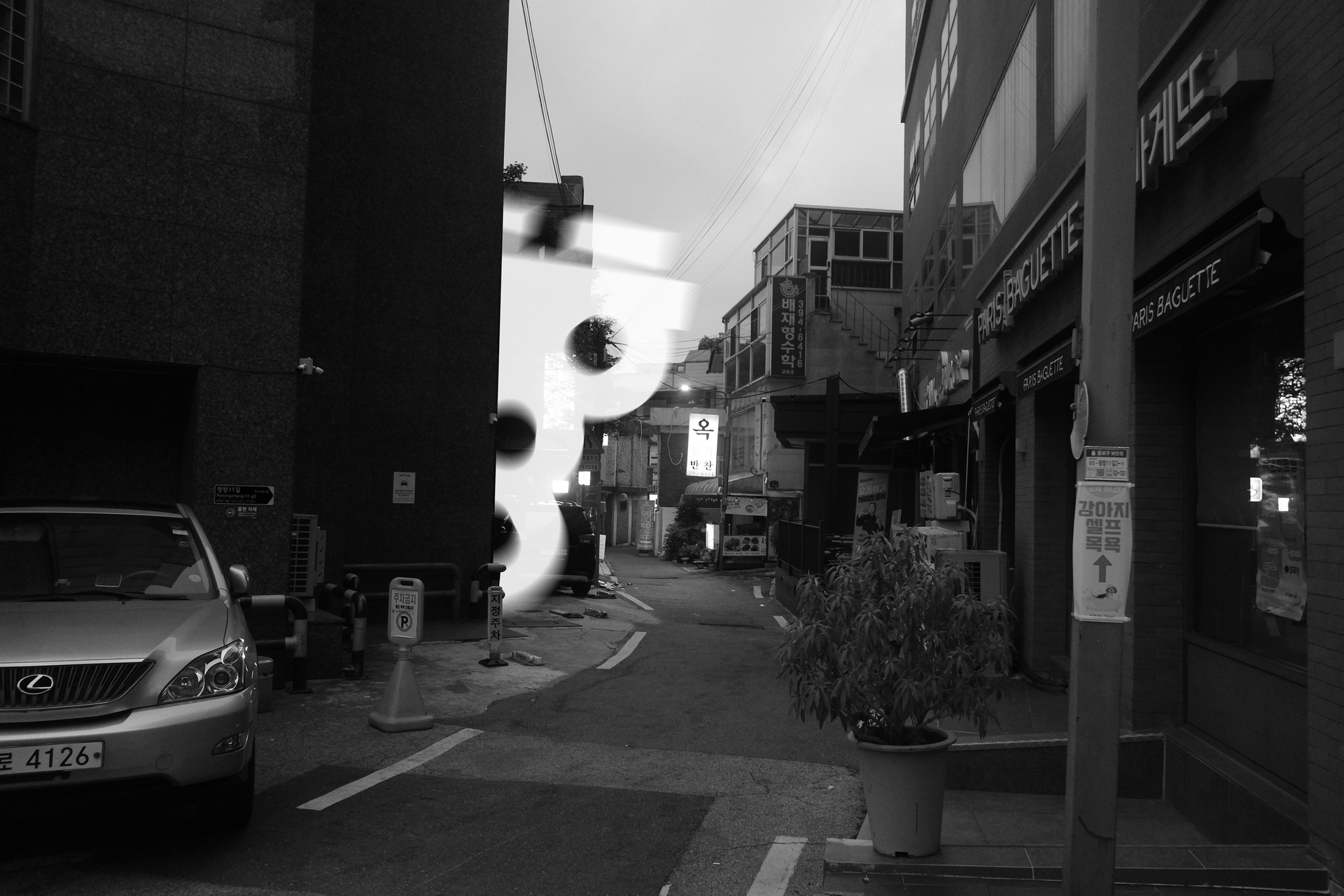 ssahn_549383020_10162178842684422_8661457747327909481_n.jpg